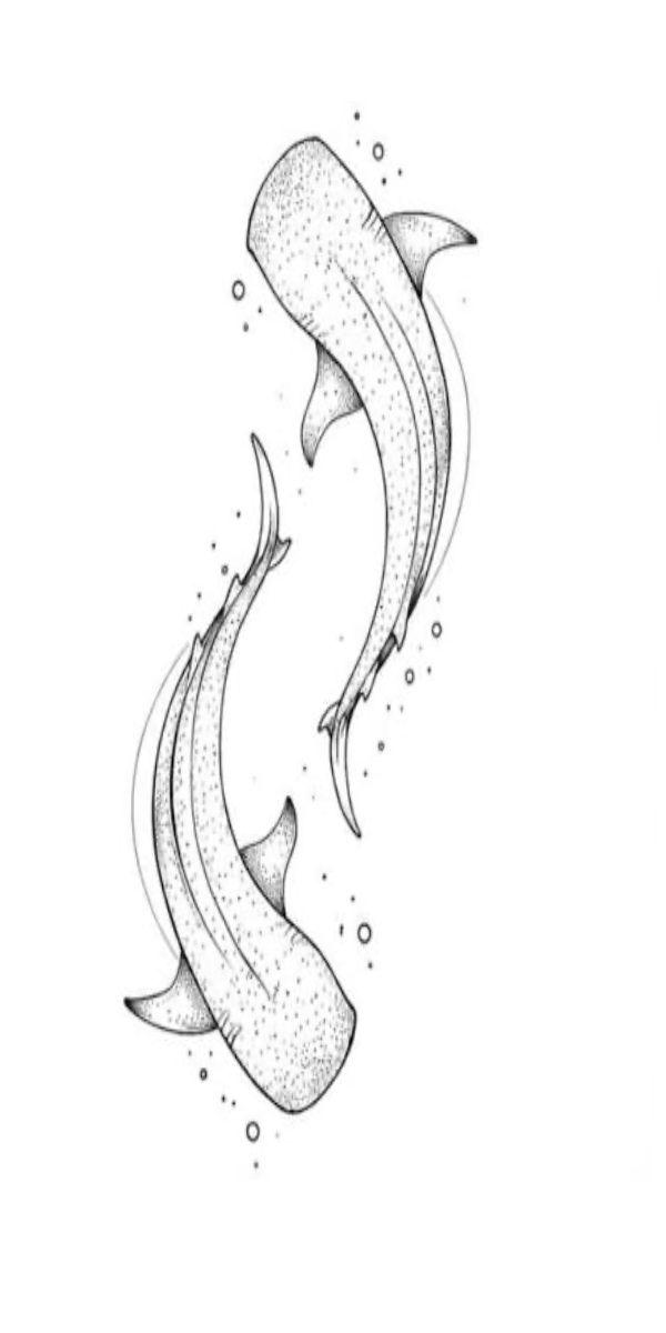 Semi-Permanent - Black Line Only