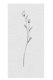 Semi-Permanent - Black Line Only