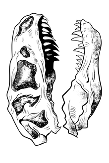 Semi-Permanent - Black Line Only