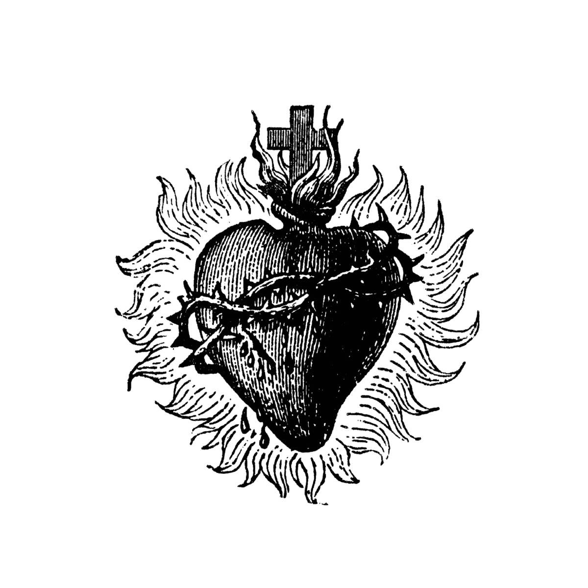 Semi-Permanent - Black Line Only