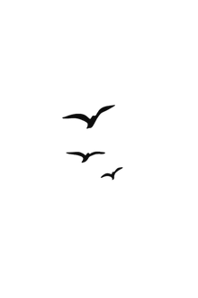 Semi-Permanent - Black Line Only