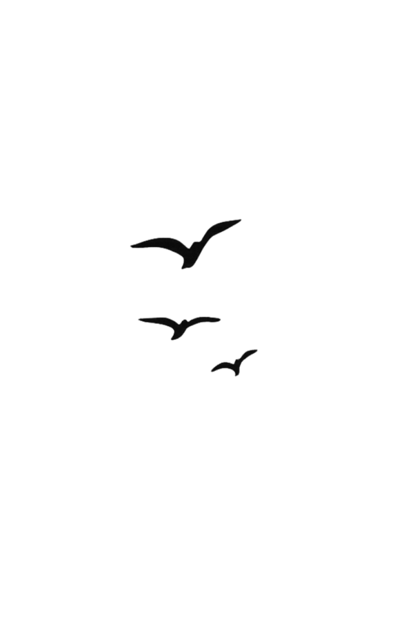 Semi-Permanent - Black Line Only