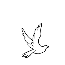 Semi-Permanent - Black Line Only