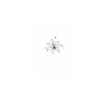 Semi-Permanent - Black Line Only