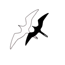 Semi-Permanent - Black Line Only