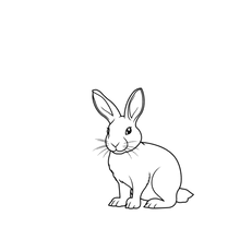 Semi-Permanent - Black Line Only