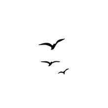 Semi-Permanent - Black Line Only