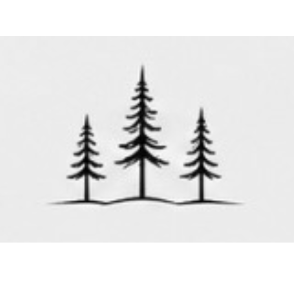 Semi-Permanent - Black Line Only