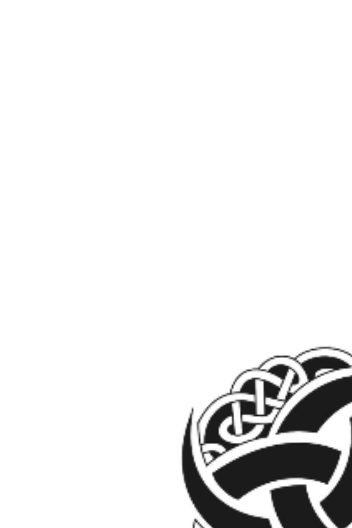 Semi-Permanent - Black Line Only