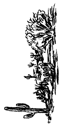 Semi-Permanent - Black Line Only