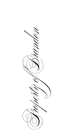 Semi-Permanent - Black Line Only
