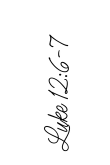Semi-Permanent - Black Line Only