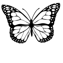 Semi-Permanent - Black Line Only