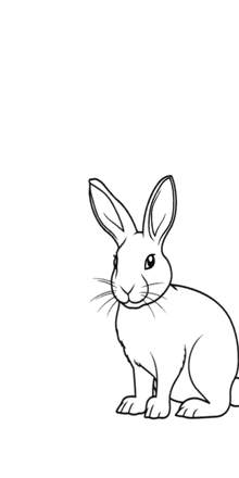 Semi-Permanent - Black Line Only