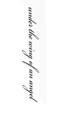 Semi-Permanent - Black Line Only