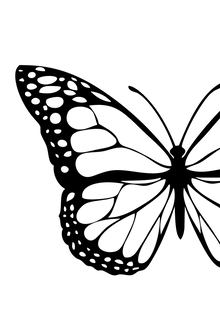 Semi-Permanent - Black Line Only
