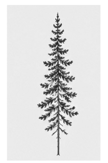 Semi-Permanent - Black Line Only