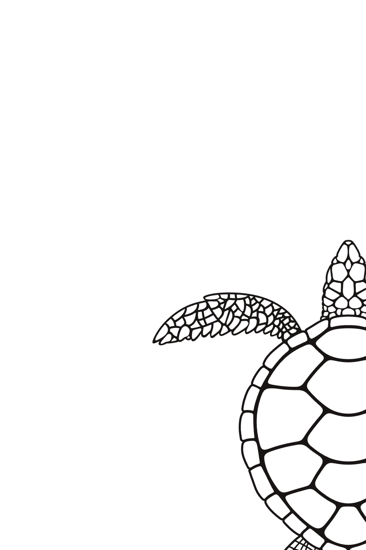 Semi-Permanent - Black Line Only