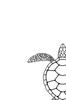 Semi-Permanent - Black Line Only