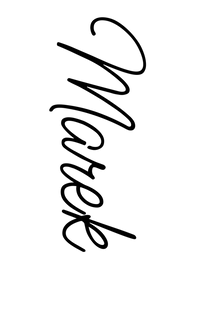 Semi-Permanent - Black Line Only