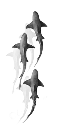 Semi-Permanent - Black Line Only