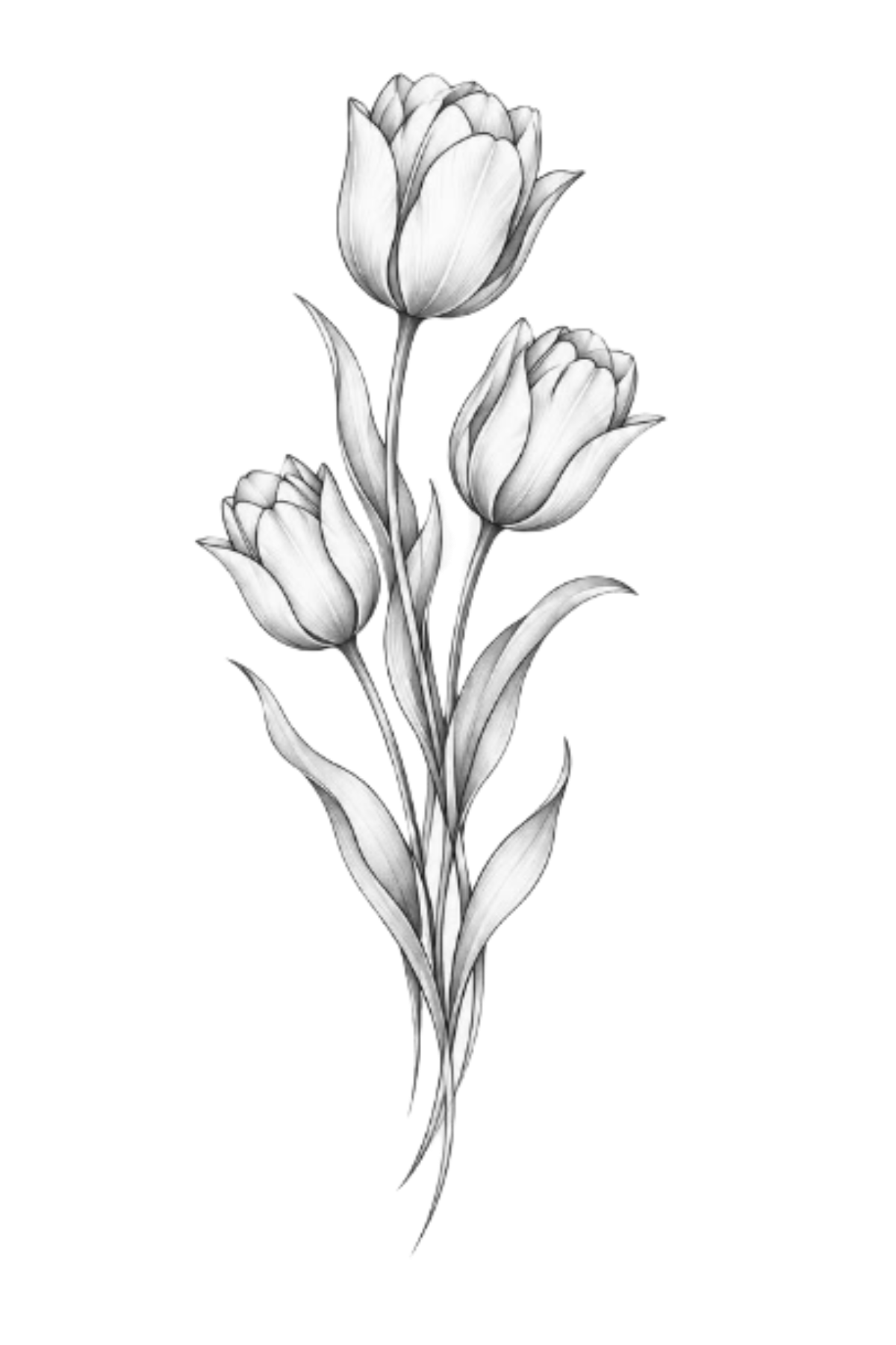 Semi-Permanent - Black Line Only