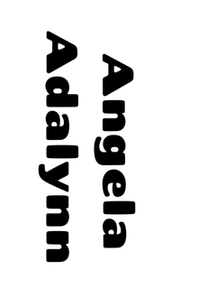 Semi-Permanent - Black Line Only