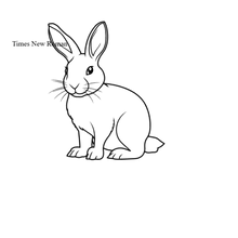 Semi-Permanent - Black Line Only