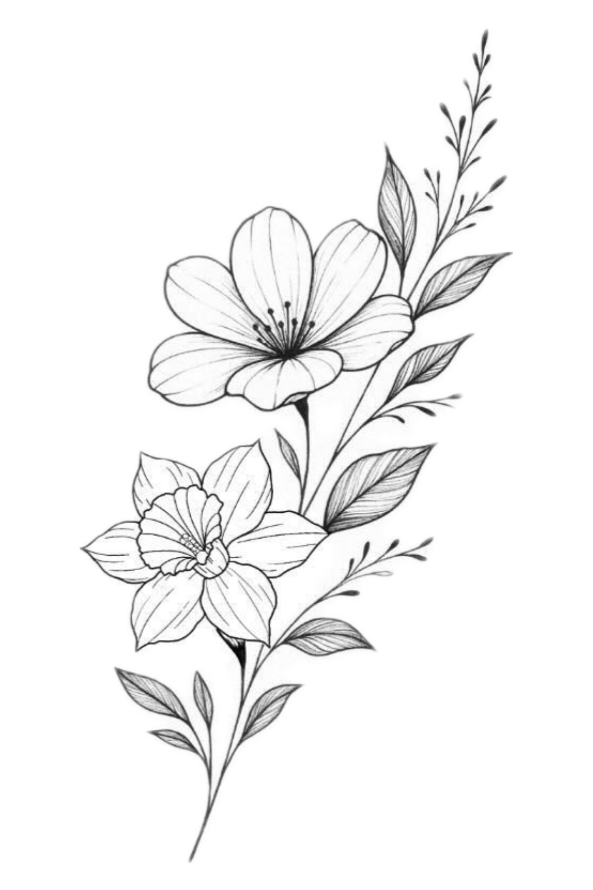 Semi-Permanent - Black Line Only
