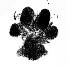 Semi-Permanent - Black Line Only