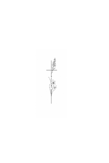 Semi-Permanent - Black Line Only