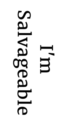 Semi-Permanent - Black Line Only