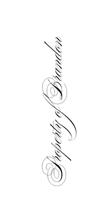 Semi-Permanent - Black Line Only