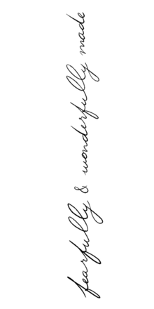 Semi-Permanent - Black Line Only
