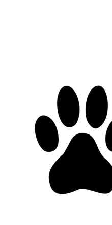 Semi-Permanent - Black Line Only