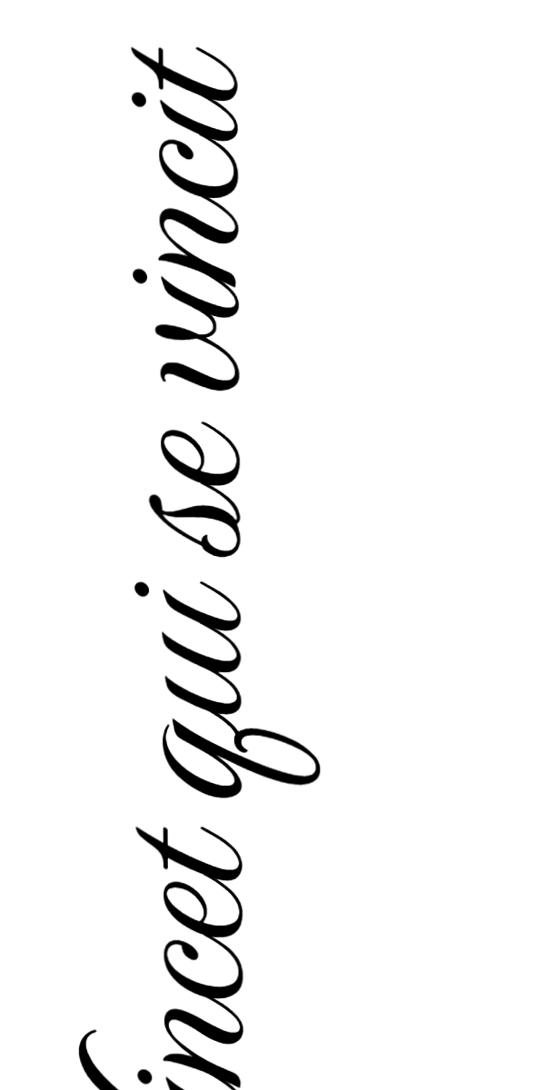 Semi-Permanent - Black Line Only