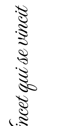 Semi-Permanent - Black Line Only