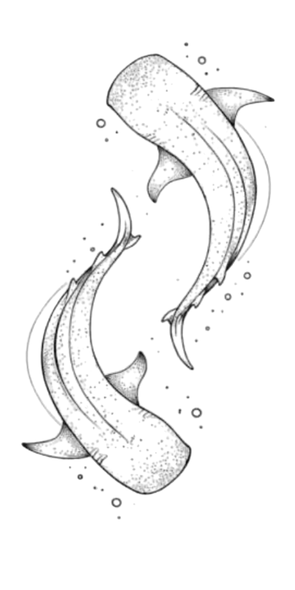 Semi-Permanent - Black Line Only