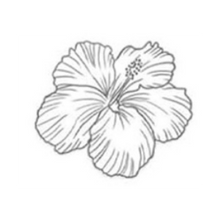 Semi-Permanent - Black Line Only