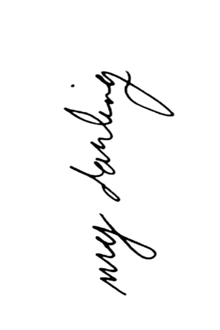 Semi-Permanent - Black Line Only