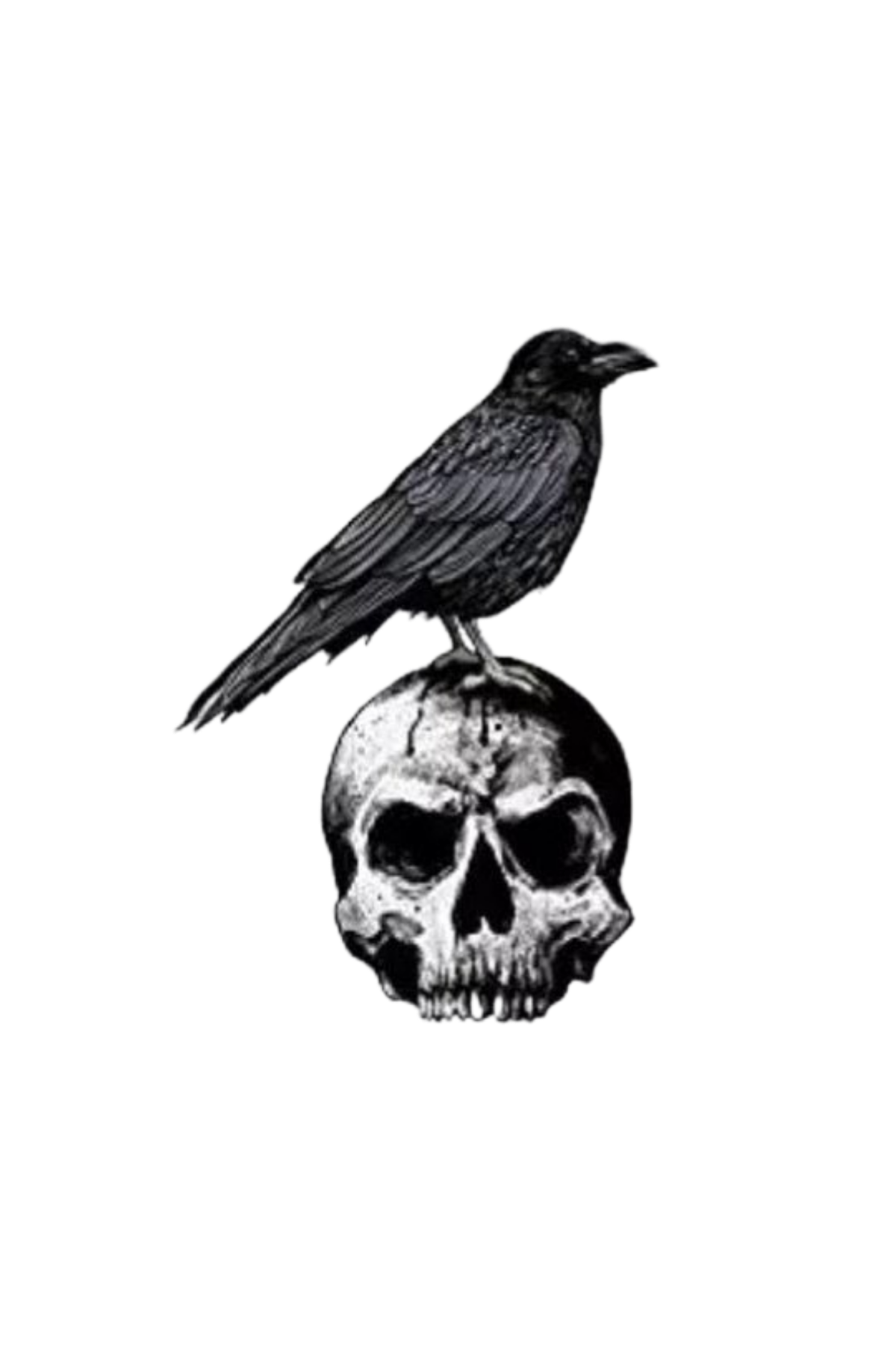 Semi-Permanent - Black Line Only