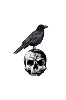 Semi-Permanent - Black Line Only