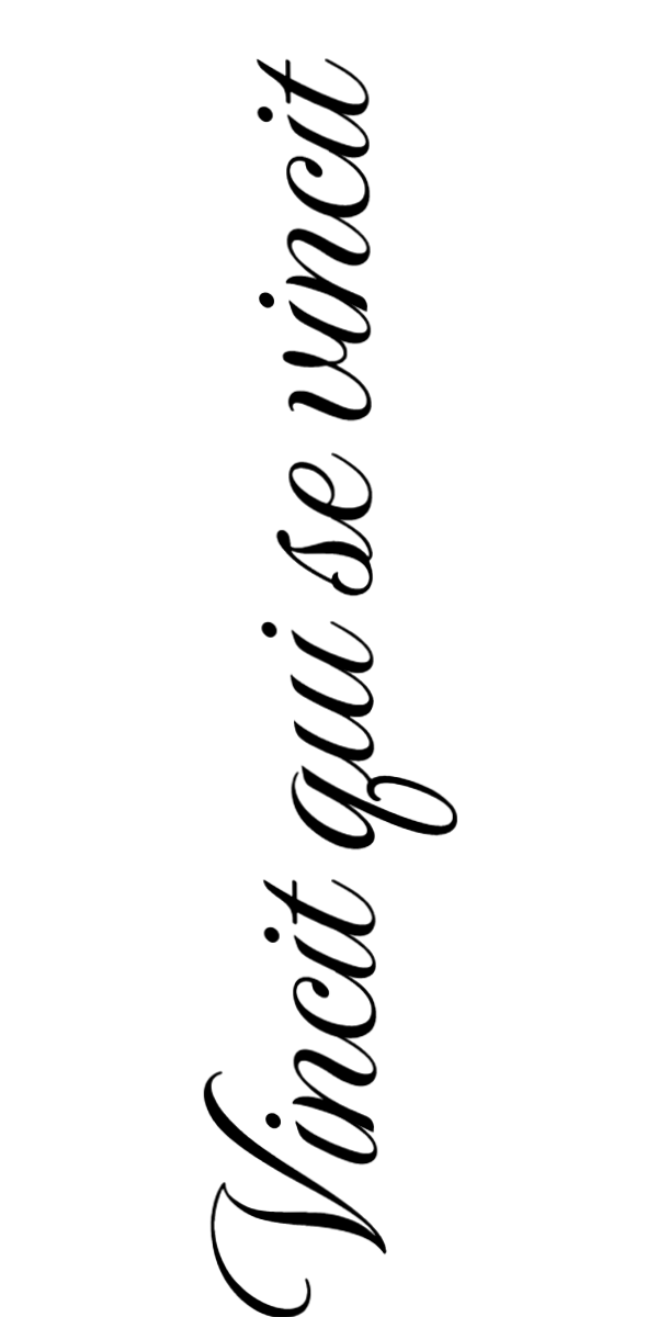 Semi-Permanent - Black Line Only