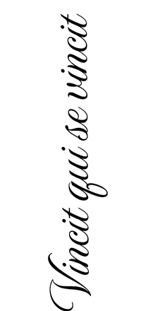 Semi-Permanent - Black Line Only