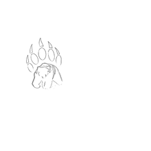 Semi-Permanent - Black Line Only
