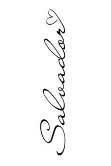 Semi-Permanent - Black Line Only