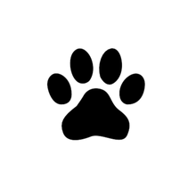 Semi-Permanent - Black Line Only
