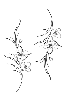 Semi-Permanent - Black Line Only