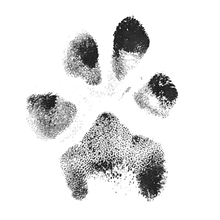 Semi-Permanent - Black Line Only