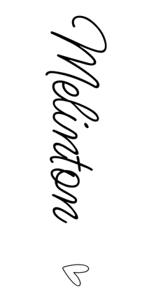Semi-Permanent - Black Line Only